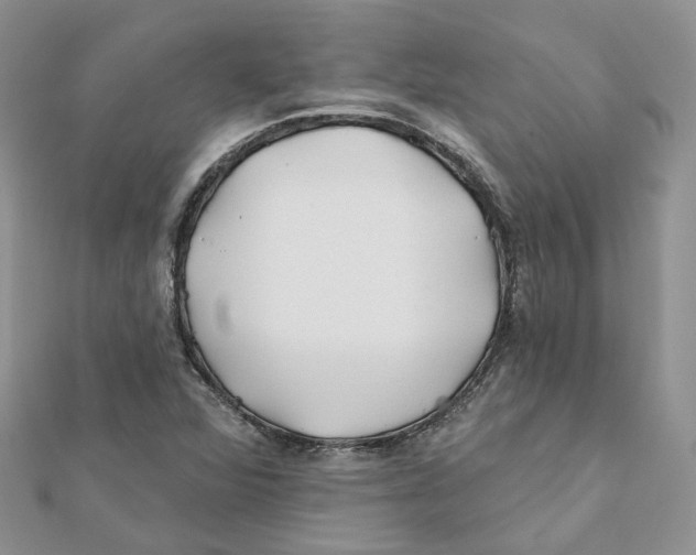 X0000112061360200909010954