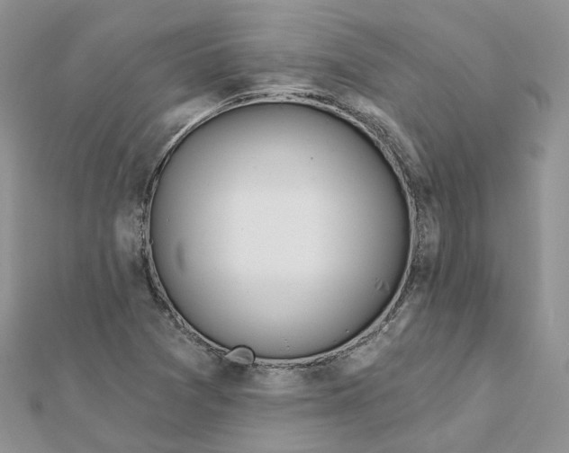 X0000112061361200909010954