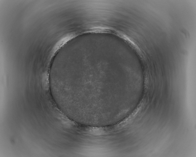 X0000112061362200909010954