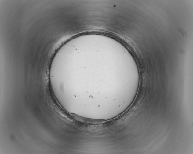 X0000112061363200909010954