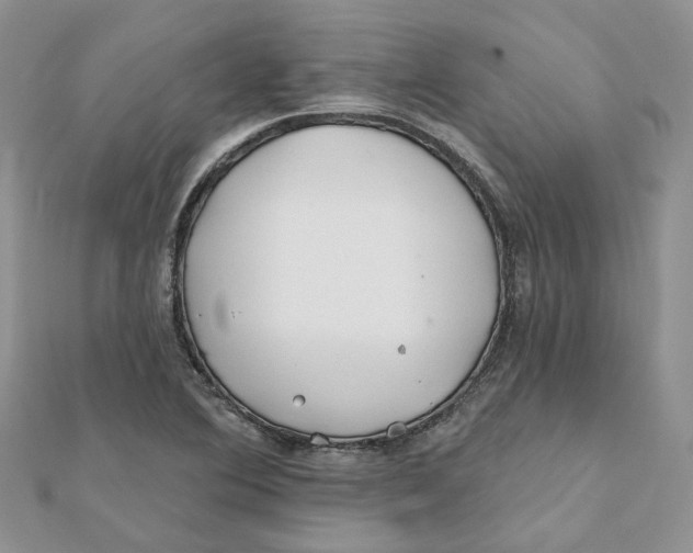 X0000112061364200909010954