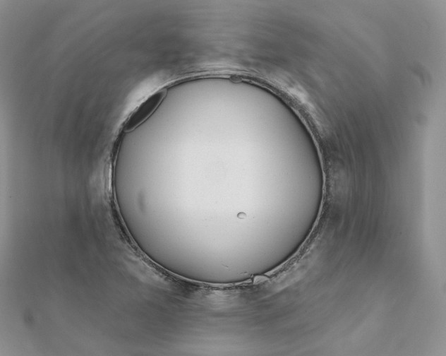 X0000112061365200909010954