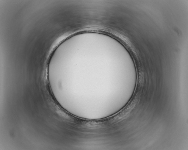 X0000112061366200909010954