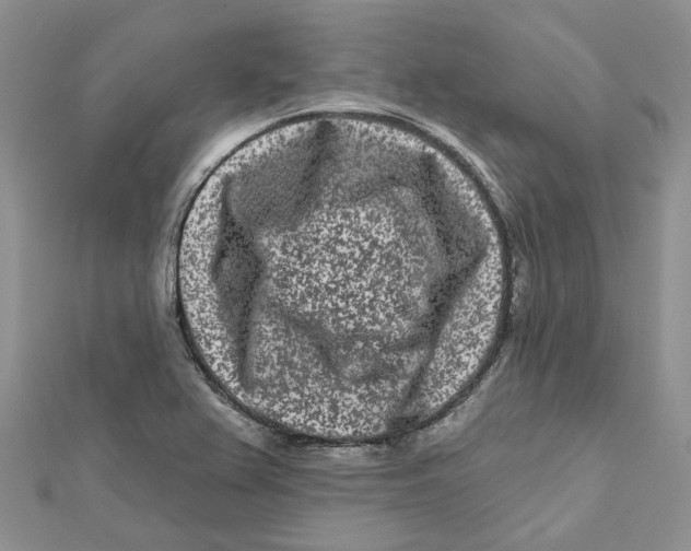 X0000112061367200909010954