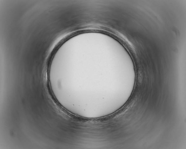 X0000112061368200909010954