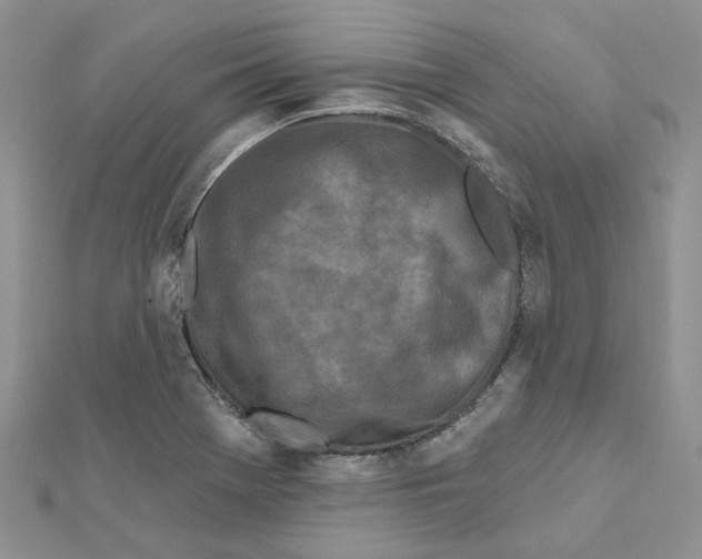 X0000112061369200909010954