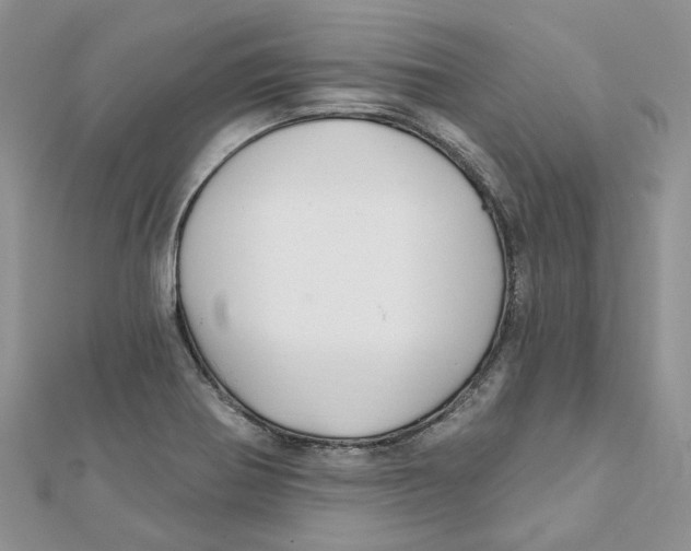 X0000112061370200909010954