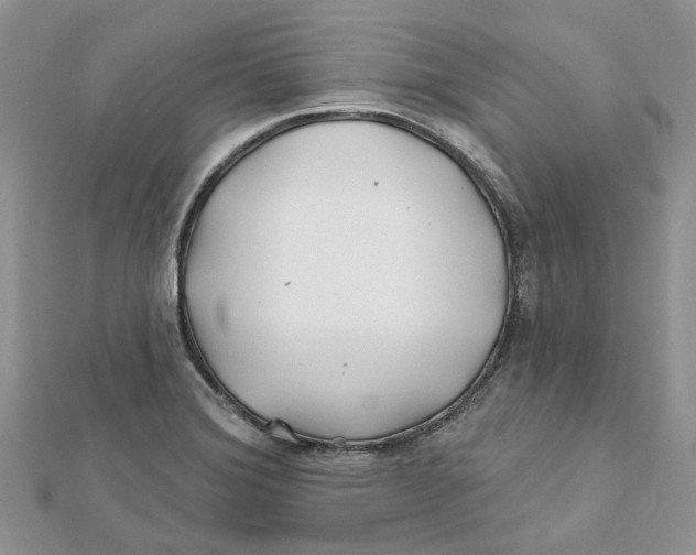 X0000112061372200909010954