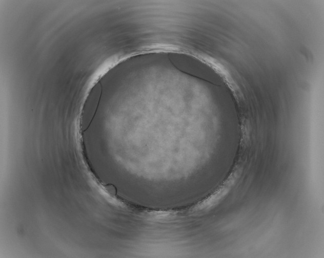 X0000112061373200909010954