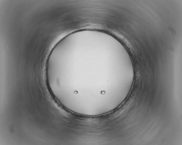 X0000112061375200909010954