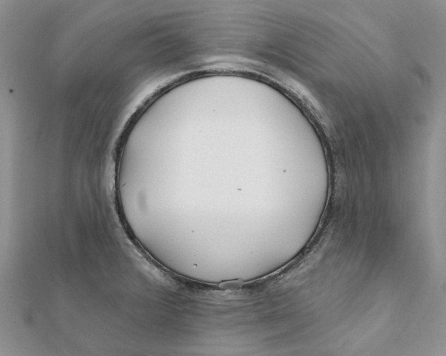 X0000112061376200909010954