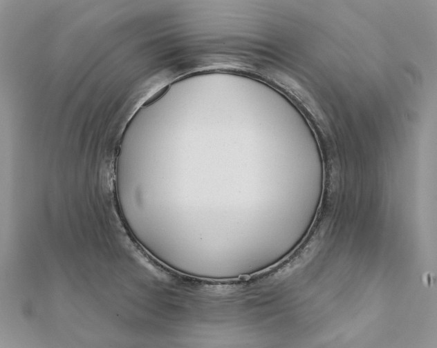 X0000112061377200909010954