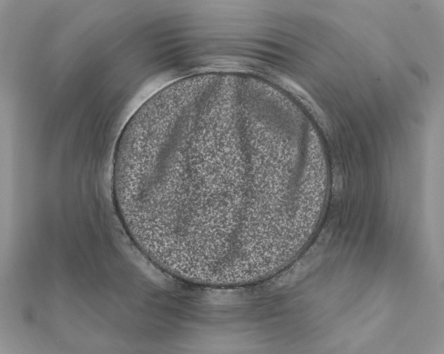 X0000112061378200909010954