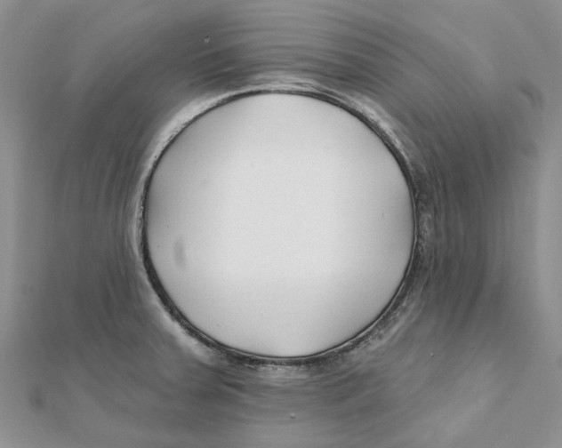 X0000112061379200909010954