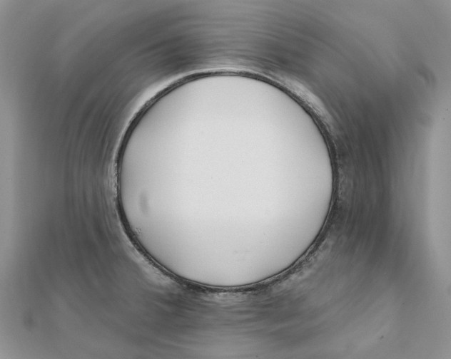 X0000112061380200909010954