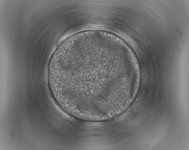 X0000112061382200909010954