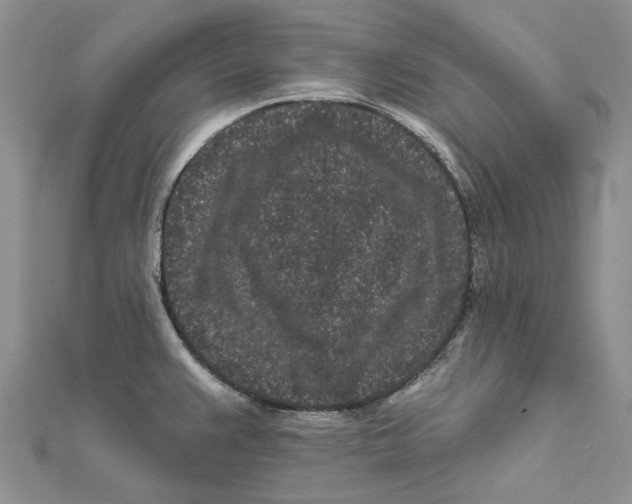 X0000112061383200909010954