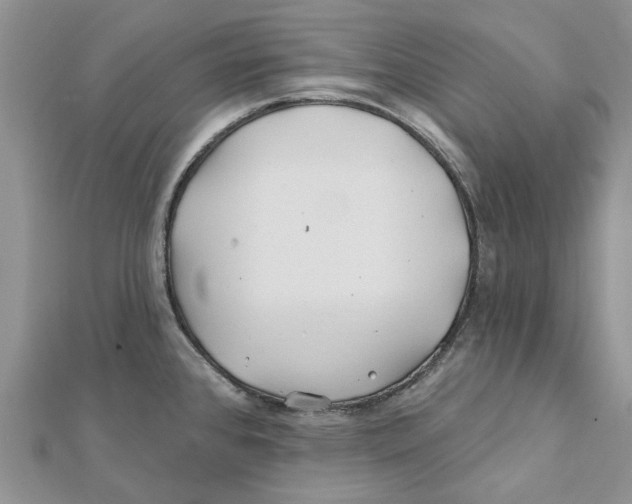 X0000112061384200909010954