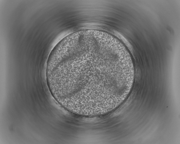 X0000112061386200909010954