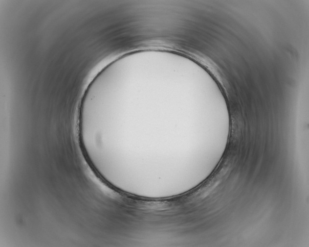 X0000112061387200909010954