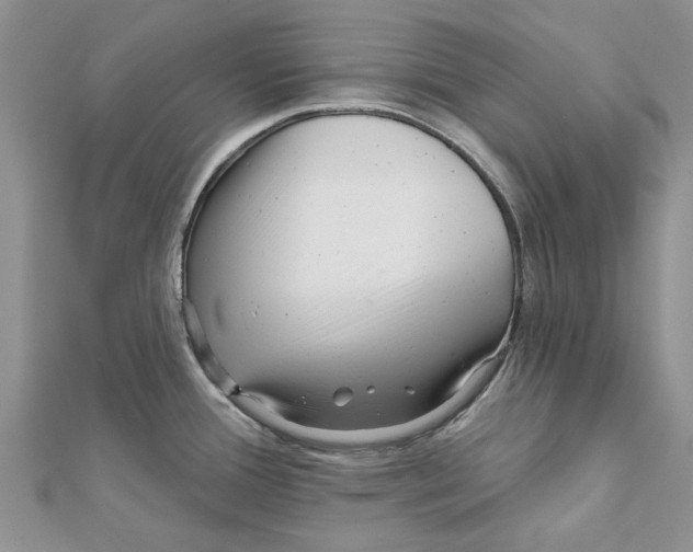 X0000112061388200909010953