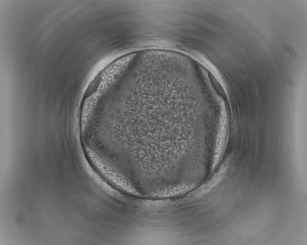 X0000112061389200909010953