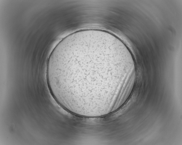 X0000112061390200909010953