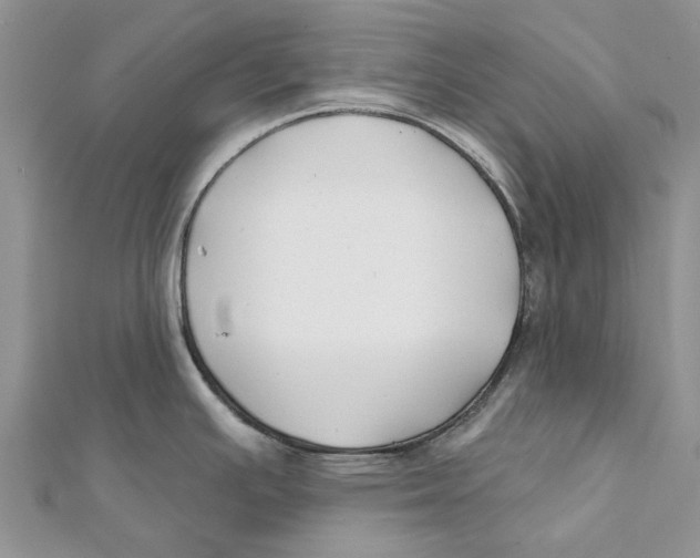 X0000112061391200909010953