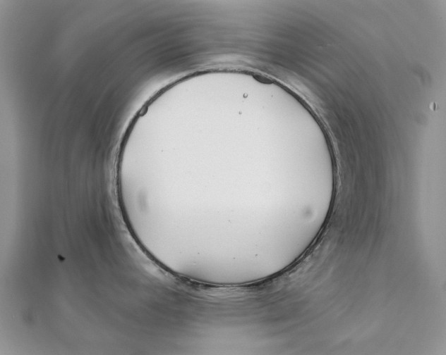 X0000112061392200909010953