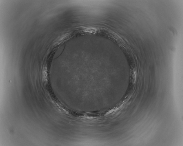 X0000112061394200909010953