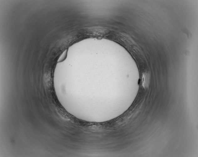 X0000112061395200909010953