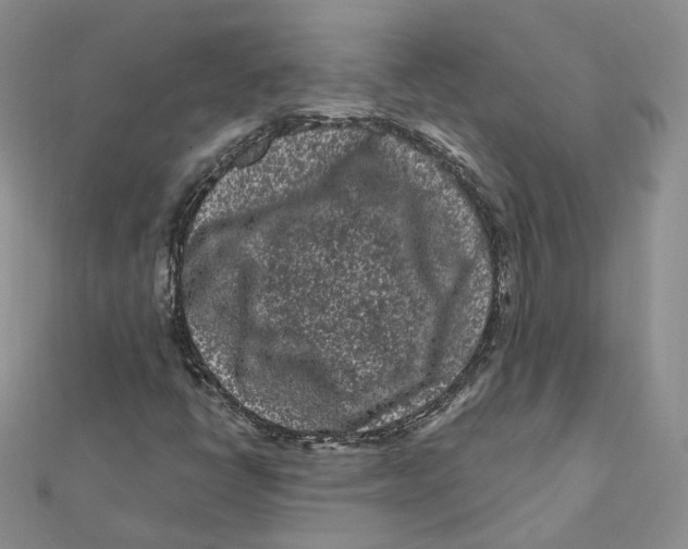 X0000112061398200909010953