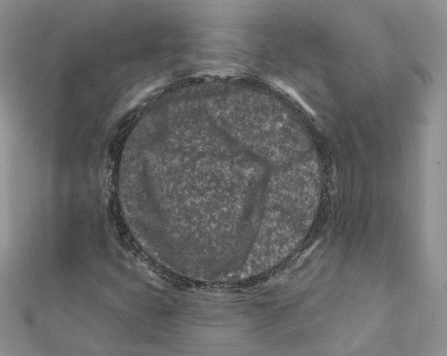 X0000112061399200909010953