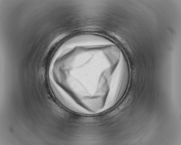 X0000112061402200909010953