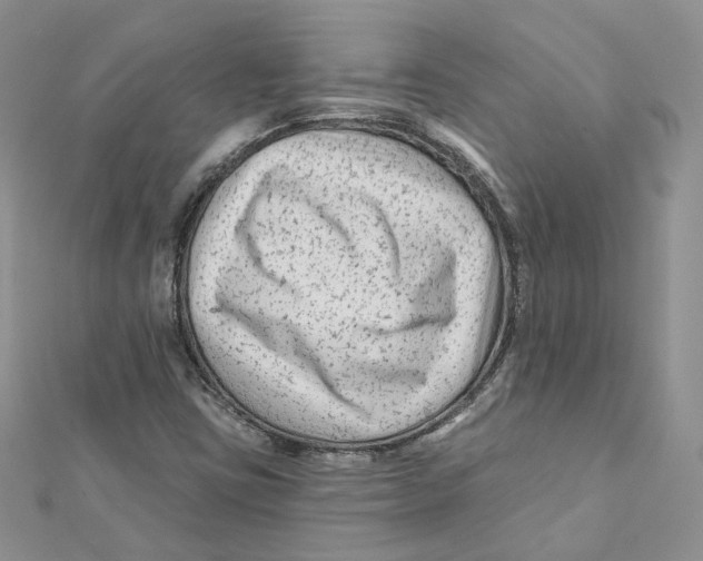 X0000112061403200909010953