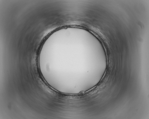 X0000112061404200909010953