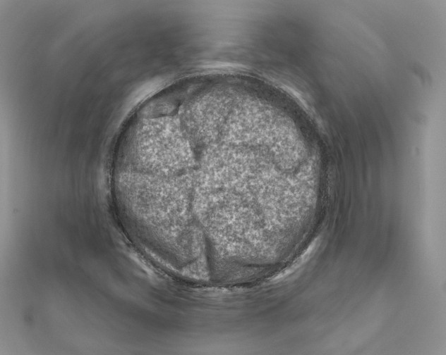 X0000112061405200909010953