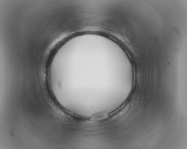 X0000112061406200909010953