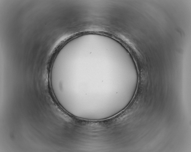 X0000112061408200909010953