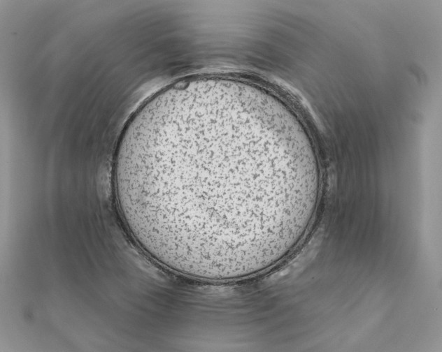 X0000112061409200909010953