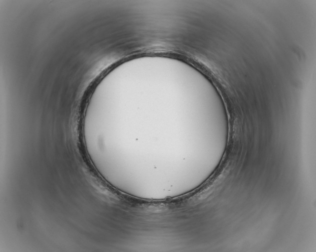 X0000112061410200909010953