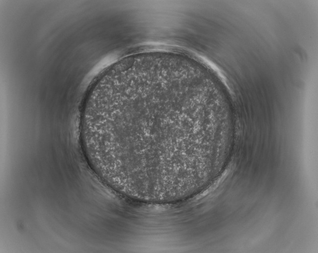 X0000112061411200909010953