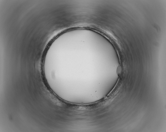 X0000112061412200909010953