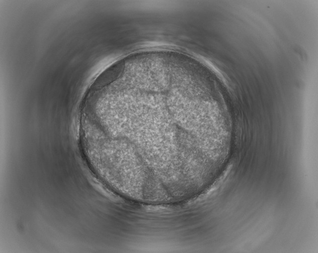 X0000112061413200909010953