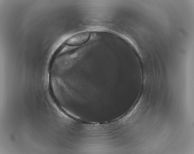 X0000112061414200909010953