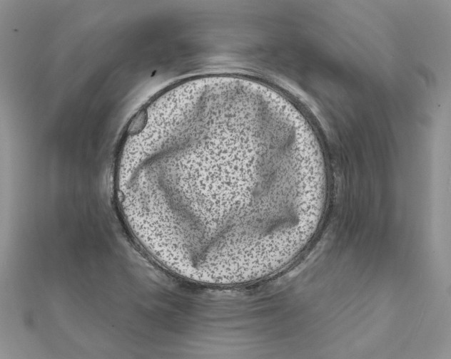 X0000112061415200909010953