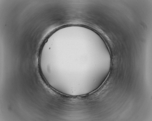 X0000112061416200909010953