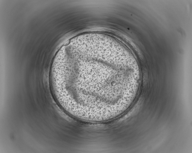 X0000112061417200909010953