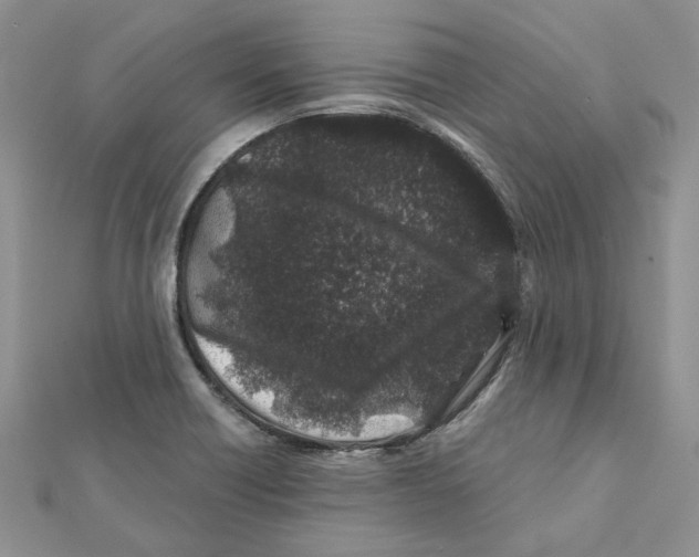 X0000112061418200909010953