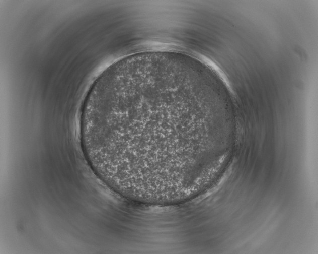 X0000112061419200909010953